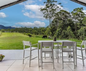 Rural / Farming commercial property for sale at 157 Boormans Road Tyalgum NSW 2484
