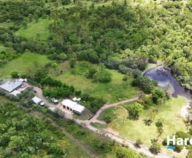 Rural / Farming commercial property for sale at 426 Mingo Road Morganville QLD 4671