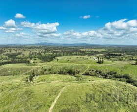 Rural / Farming commercial property for sale at 159 Kirks Road Booyal QLD 4671