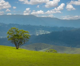 Rural / Farming commercial property for sale at 900 Marsden Swamp Road Ganbenang NSW 2790