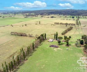 Rural / Farming commercial property for sale at 638 Furracabad Road Glen Innes NSW 2370