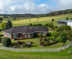 Rural / Farming commercial property for sale at 3511 Pinkett Road Pinkett NSW 2370