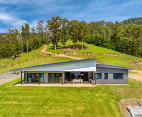 Rural / Farming commercial property for sale at 672 Careys Road Hillville NSW 2430