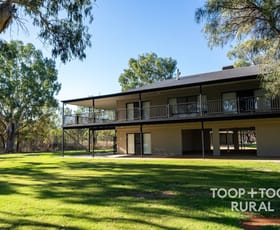 Rural / Farming commercial property for sale at 377/ Thamm Road Morgan SA 5320