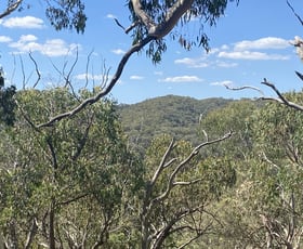 Rural / Farming commercial property for sale at Bald Ridge Road Bald Ridge NSW 2795