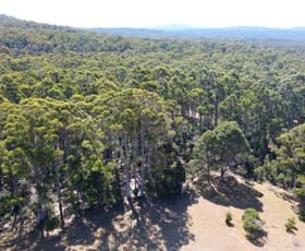 Rural / Farming commercial property for sale at LOT 1 BRIDPORT ROAD Pipers River TAS 7252