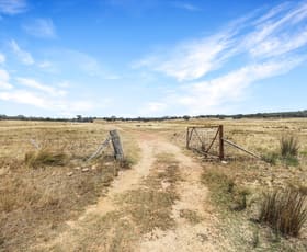 Rural / Farming commercial property for sale at Lots 92, 255 Felled Timber Road (Dalton) Gunning NSW 2581