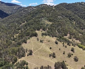 Rural / Farming commercial property sold at 168 Carters Rd Stewarts Brook NSW 2337
