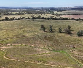 Rural / Farming commercial property for sale at 4436 WARRUMBUNGLES WAY Binnaway NSW 2395