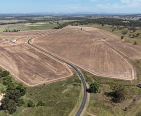 Rural / Farming commercial property for sale at 4436 WARRUMBUNGLES WAY Binnaway NSW 2395