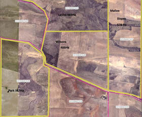 Rural / Farming commercial property for sale at 256 Blacket Road Wynarka SA 5306