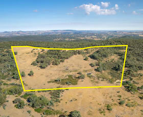 Rural / Farming commercial property for sale at 137 Hanels Road Talmalmo NSW 2640
