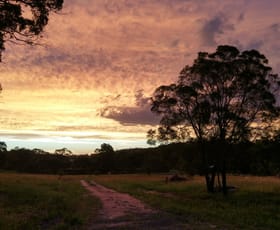 Rural / Farming commercial property for sale at 1931 Eukey Road Eukey QLD 4380