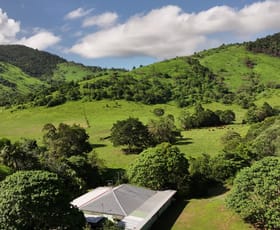 Rural / Farming commercial property for sale at 212 Monaghan Road Palm Grove QLD 4800