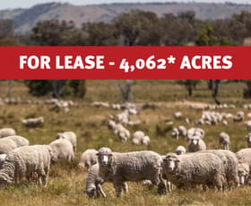 Rural / Farming commercial property for sale at Bogolara Road Jugiong NSW 2726