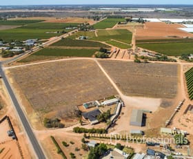 Rural / Farming commercial property for sale at 543 Mcedward Street Birdwoodton VIC 3505