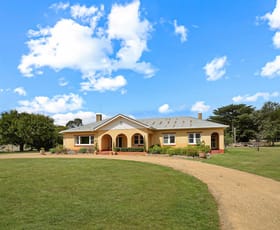 Rural / Farming commercial property for sale at 5269 Glenelg Highway Glenthompson VIC 3293