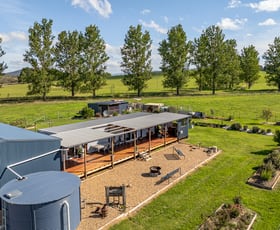 Rural / Farming commercial property for sale at 2458 Cooma Road Braidwood NSW 2622