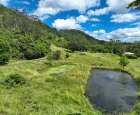 Rural / Farming commercial property for sale at 148 Newtons Road Eden Creek NSW 2474