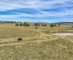 Rural / Farming commercial property for sale at 2182 Yarramanbully Road Tamworth NSW 2340