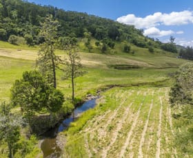 Rural / Farming commercial property for sale at 138 Bice Road Leycester NSW 2480