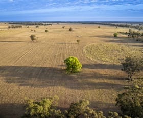 Rural / Farming commercial property for sale at Mentone 1521 Bruie Plains Road Trundle NSW 2875