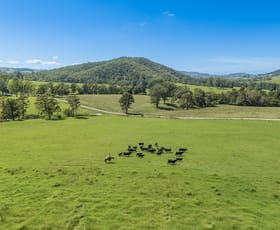 Rural / Farming commercial property for sale at 383 Moores rd Monkerai NSW 2415