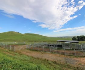 Rural / Farming commercial property for sale at 94 Reservoir Lane Braidwood NSW 2622