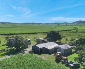 Rural / Farming commercial property for sale at 137 Nebia-Coningsby Road Farleigh QLD 4741