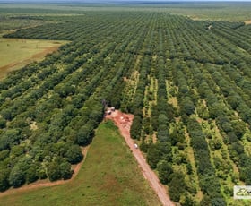 Rural / Farming commercial property for sale at Taylors Park Road Katherine NT 0850