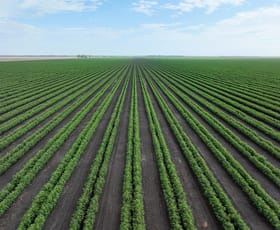 Rural / Farming commercial property for sale at St Ruth QLD 4405