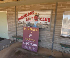 Rural / Farming commercial property for sale at 5193 Sunraysia Hwy Woomelang VIC 3485