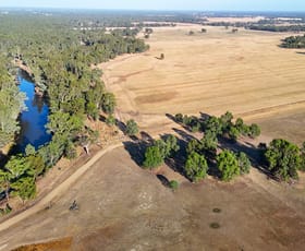 Rural / Farming commercial property for sale at 161 Frasers Road Nathalia VIC 3638