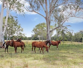Rural / Farming commercial property for sale at 148 Alexander Lane Harrisville QLD 4307
