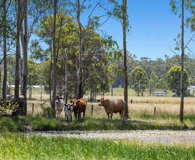 Rural / Farming commercial property for sale at 8855 Summerland Way Leeville NSW 2470