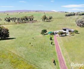 Rural / Farming commercial property for sale at 501 Wirrimah Road Wirrimah NSW 2803