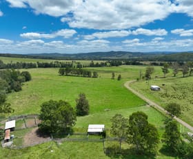 Rural / Farming commercial property for sale at 225 Woodworths Road Bonalbo NSW 2469