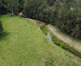 Rural / Farming commercial property for sale at 3643 Taylors Arm Rd Burrapine NSW 2447