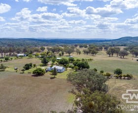 Rural / Farming commercial property for sale at 1975 Nullamanna Road Inverell NSW 2360