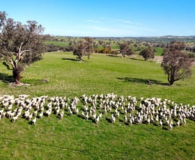 Rural / Farming commercial property for sale at Woburn Road Harden NSW 2587