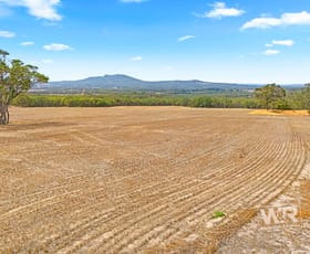 Rural / Farming commercial property for sale at Lot 52 Bevan Road Mount Barker WA 6324