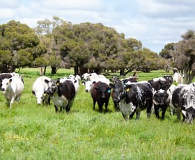 Rural / Farming commercial property for sale at 332 Sullivan Road Gingin WA 6503