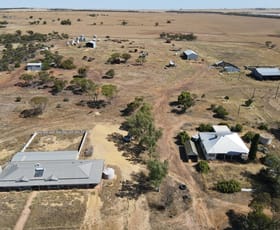 Rural / Farming commercial property for sale at 793 Osborne Road Dalwallinu WA 6609