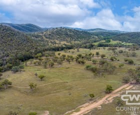 Rural / Farming commercial property for sale at 82, 4108 Tent Hill Road Emmaville NSW 2371
