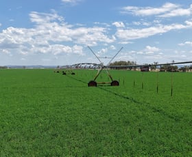 Rural / Farming commercial property for sale at Tingalba, Cullanes Road Canowindra NSW 2804