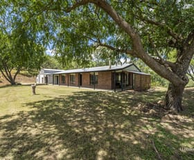 Rural / Farming commercial property for sale at 524 Turtle Creek Road Harlin QLD 4314