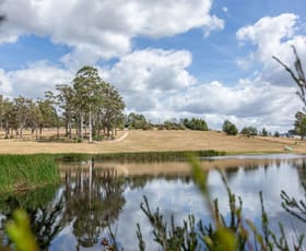 Rural / Farming commercial property for sale at 124 Glengarry Drive Glengarry TAS 7275