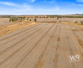 Rural / Farming commercial property for sale at 439 View Range Road Kendenup WA 6323