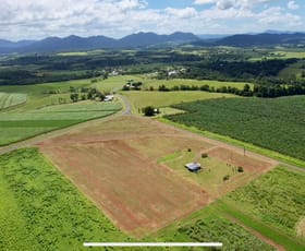 Rural / Farming commercial property for sale at 24 Polich Road Mena Creek QLD 4871