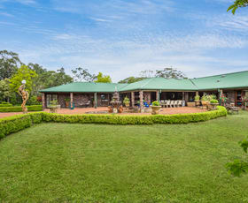 Rural / Farming commercial property for sale at 25 Kelynack Road Mangrove Mountain NSW 2250